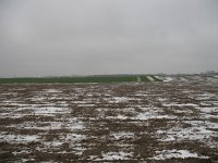 186-324, W, 2012-09-12, Sovon-Hans Quaden, 186513-324496, Nuth