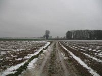 186-324, Z, 2012-12-09, Sovon-Hans Quaden, 186513-324496, Nuth