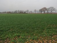 186-359, Z, 2018-12-14, NL-Peter Vlamings, 186483-359569, Leudal