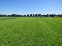 186-372, O, 2016-23-8, NL-Peter Vlamings, 186500-372500, Peel en Maas