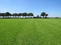 186-372, W, 2016-23-8, NL-Peter Vlamings, 186500-372500, Peel en Maas