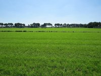 186-372, Z, 2016-23-8, NL-Peter Vlamings, 186500-372500, Peel en Maas