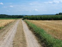 187-313, O, 2012-08-24, NL-Jo van Laar,  50.810041NB- 5.845281OL, Eijsden-Margraten
