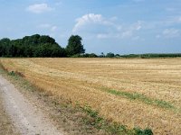 187-313, W, 2012-08-24, NL-Jo van Laar,  50.810041NB- 5.845281OL, Eijsden-Margraten