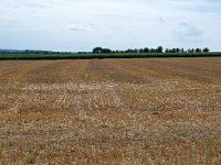 187-313, Z, 2012-08-24, NL-Jo van Laar,  50.810041NB- 5.845281OL, Eijsden-Margraten