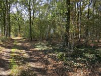 187-363, W, 2018-10-13, NL-Peter Vlamings, 187512-363473, Leudal