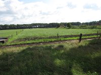 187-390, O, 2014-8-9, NL-Peter Vlamings, 187717-390737, Venray