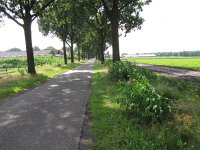 187-390, Z, 2014-8-9, NL-Peter Vlamings, 187717-390737, Venray