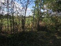 189-364, W, 2018-9-25, NL-Peter Vlamings, 189424-364430, Leudal