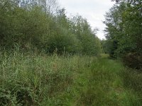 189-369, O, 2017-9-5, NL-Peter Vlamings, 189442-369445, Leudal