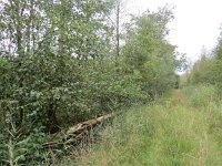 189-369, W, 2017-9-5, NL-Peter Vlamings, 189442-369445, Leudal