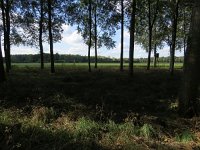 190-364, W, 2018-9-25, NL-Peter Vlamings, 190500-364500, Leudal