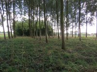 190-364, Z, 2018-9-25, NL-Peter Vlamings, 190500-364500, Leudal