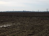 196-362, Z, 20-03-2011, NL-Joost van Ingen, 51.250797 NB-5.979194 OL, Leudal