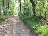 196-377, Z, 2011-04-29, NL-Hans Kuijpers, 196503-377503, Horst aan de Maas