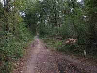 196-385, O, 2014-9-23, NL-Peter Vlamings, 196530-385510, Horst aan de Maas