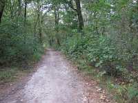 196-385, W, 2014-9-23, NL-Peter Vlamings, 196530-385510, Horst aan de Maas