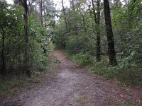 196-385, Z, 2014-9-23, NL-Peter Vlamings, 196530-385510, Horst aan de Maas