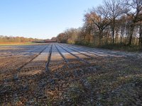 196-407, O, 2016-11-28, NL-Peter Vlamings, 196568-407550, Gennep