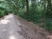 196-410, O, 2016-6-10, NL-Peter Vlamings, 196509-410486, Gennep