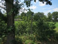 198-370, W, 2017-8-6, NL-Peter Vlamings, 198477-370494, Peel en Maas