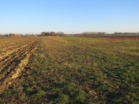 198-413, O, 2016-12-5, NL-Peter Vlamings, 198442-413428, Gennep