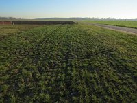 198-413, Z, 2016-12-5, NL-Peter Vlamings, 198442-413428, Gennep