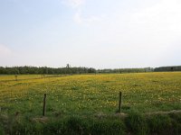 200-357, Z, 2011-04-23, NL-Toine Wuts, 200750-357850, Swalmen