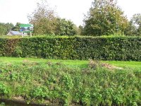 200-384, O, 2014-10-3, NL-Peter Vlamings, 200483-384461, Horst aan de Maas