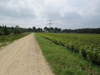 203-377, Z, 2015-8-11, NL-Peter Vlamings, 203570-377495, Maasbree