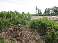 204-382, O, 2014-06-07, NL-Hans Kuijpers, 204494-382503, Horst aan de Maas