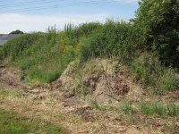 204-382, W, 2014-06-07, NL-Hans Kuijpers, 204494-382503, Horst aan de Maas