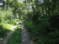 204-392, O, 2014-7-23,  NL-Peter Vlamings, 204536-392537, Meerlo-Wanssum