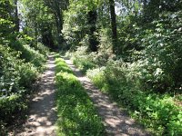 204-392, W, 2014-7-23,  NL-Peter Vlamings, 204536-392537, Meerlo-Wanssum