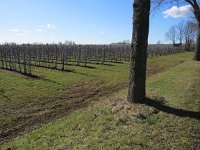 206-368, W, 2018-3-20, NL-Peter Vlamings, 206439-368443, Venlo