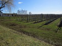 206-368, Z, 2018-3-20, NL-Peter Vlamings, 206439-368443, Venlo