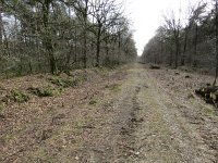 206-395, Z, 2017-3-10, NL-Peter Vlamings, 206609-395406, Bergen