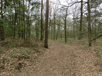 210-384, W, 2017-4-8, NL-Peter Vlamings, 210477-384517, Arcen en Velden