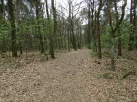 210-384, Z, 2017-4-8, NL-Peter Vlamings, 210477-384517, Arcen en Velden