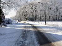 111-391, W, 04-02-2012, NL-Harry Muermans, 51.509371 NB-4.760304 OL, Alphen-Chaam : Galderse meer 2