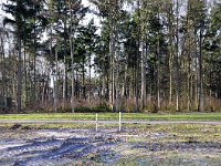 112-394, W, 17-01-2012, NL-Harry Muermans, 51.536983 NB-4.775690 OL, Breda : Klokkenberg