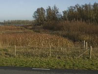 112-420, O, 2011-11-30, NL-Jan van der Straaten, 112242-420524, Werkendam