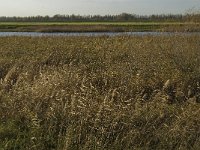 112-420, W, 2011-11-30, NL-Jan van der Straaten, 112242-420524, Werkendam