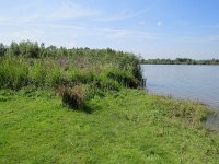 112-420, W, 2015-8-7, NL-Peter Vlamings, 112786-420395, Werkendam