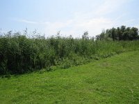 112-420, Z, 2015-8-7, NL-Peter Vlamings, 112786-420395, Werkendam