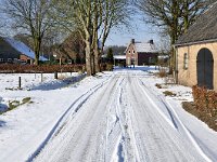 113-393, W, 06-02-2012, NL-Harry Muermans, 51.529296 NB-4.789355 OL, Alphen-Chaam : Strijbeek