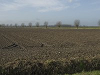 113-412, W, 16-2-2-11, NL-Jan van der Straaten, 113617-412500, Drimmelen