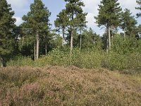 122-388, Alphen-Chaam