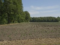 122-389 N, 30-05-2011, NL-Willem van Kruijsbergen, 51.491630 NB-4.920937 OL, Alphen-Chaam