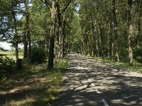 122-389 W, 30-05-2011, NL-Willem van Kruijsbergen, 51.491897 NB-4.919401 OL, Alphen-Chaam